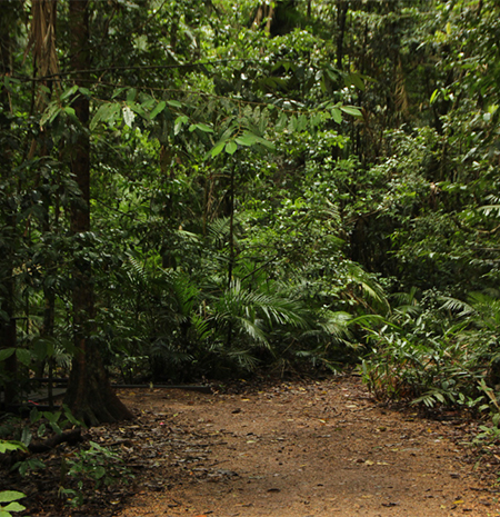 Licenciamento Ambiental para Pequena Indústria